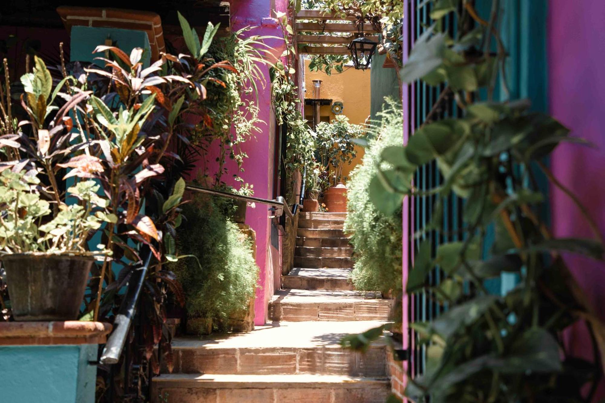 Hotel Las Golondrinas Oaxaca Esterno foto